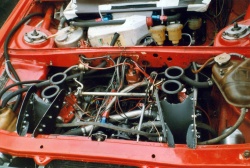 Brno Histo