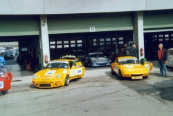 Brno Histo