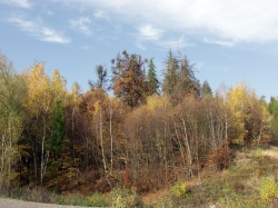 Classic Racing Car Meeting