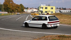 Historic Racing Picnic