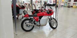 Brno Revival