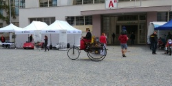 Brno Revival