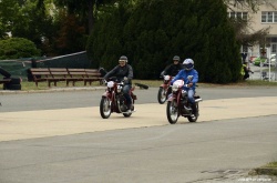 Brno Revival Babinec