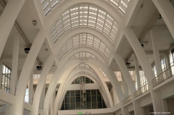 Brno Revival Babinec