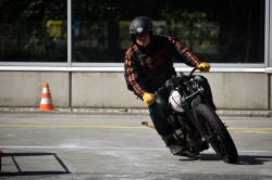Brno Revival