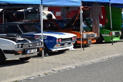 Brno Revival