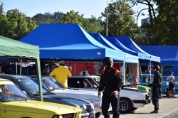 Brno Revival