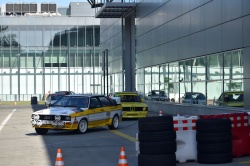 Brno Revival