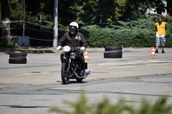 Brno Revival