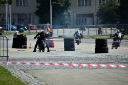 Brno Revival