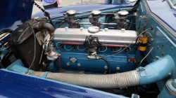 Brno Revival