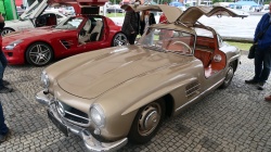 Brno Revival