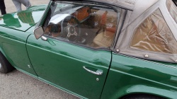 Brno Revival