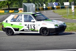Historic Racing Picnic