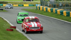 Historic Racing Picnic