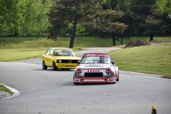 Historic Racing Picnic