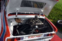 Historic Racing Picnic