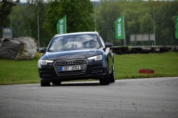 Historic Racing Picnic