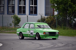 Historic Racing Picnic