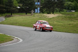 Historic Racing Picnic