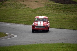 Historic Racing Picnic
