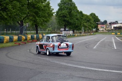 Historic Racing Picnic