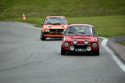 Historic Racing Picnic